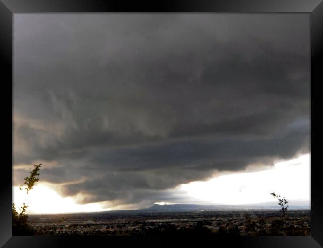 Storm coming Framed Print by Stephanie Moore