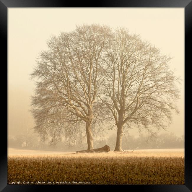 Two trees  Framed Print by Simon Johnson