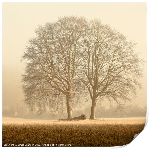 Two trees  Print by Simon Johnson