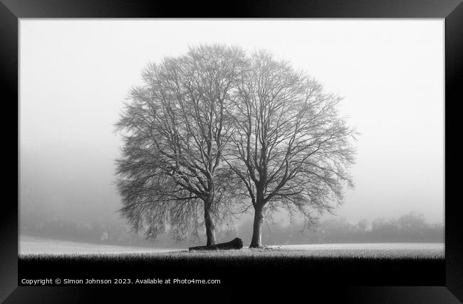 Two trees Monochrome  Framed Print by Simon Johnson