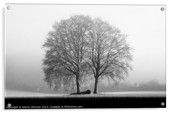 Two trees Monochrome  Acrylic by Simon Johnson