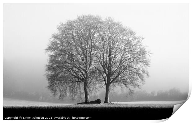 Two trees Monochrome  Print by Simon Johnson