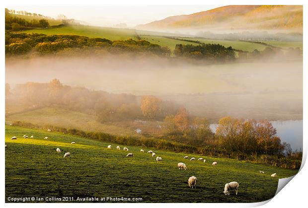 Elan Valley Mist Print by Ian Collins