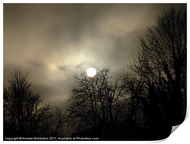 Moody Sun Print by Andrew Middleton