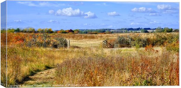 Essex Countryside in Autumn. Canvas Print by Diana Mower