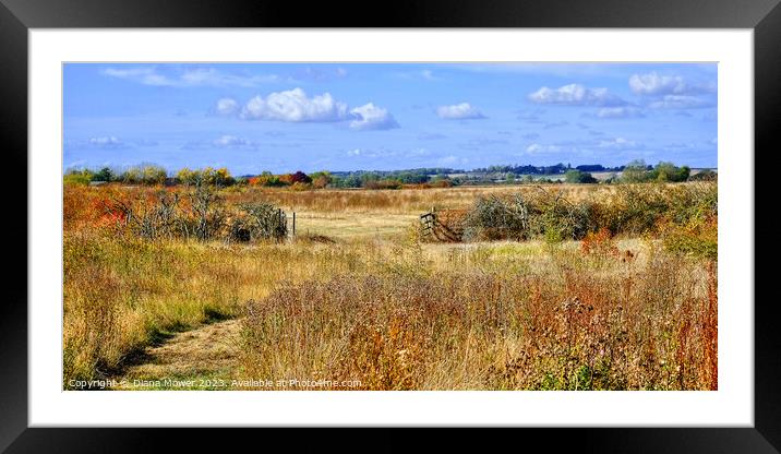 Essex Countryside in Autumn. Framed Mounted Print by Diana Mower