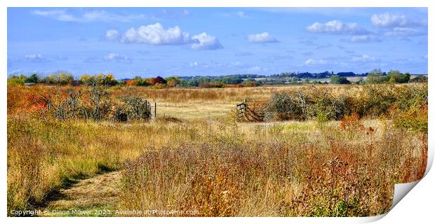 Essex Countryside in Autumn. Print by Diana Mower