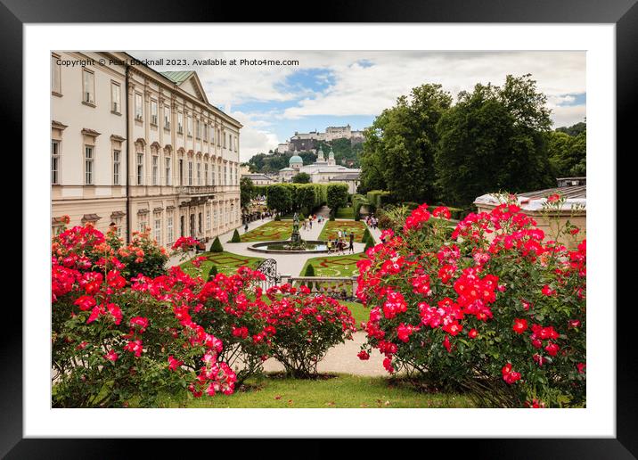 Mirabell Palace Salzburg Austria Framed Mounted Print by Pearl Bucknall