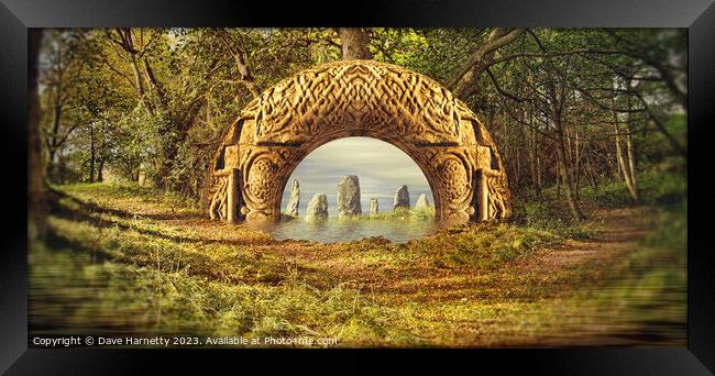 Northern Lands-Stones in the Forest Framed Print by Dave Harnetty
