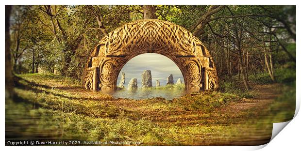Northern Lands-Stones in the Forest Print by Dave Harnetty
