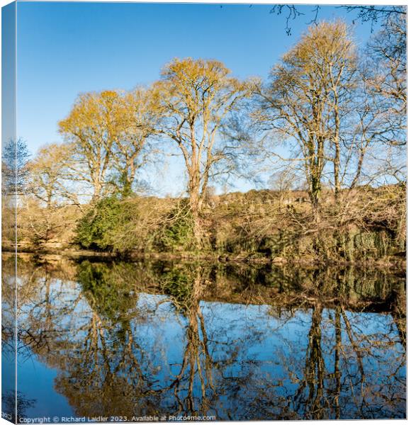 River Tees Winter Reflections Canvas Print by Richard Laidler