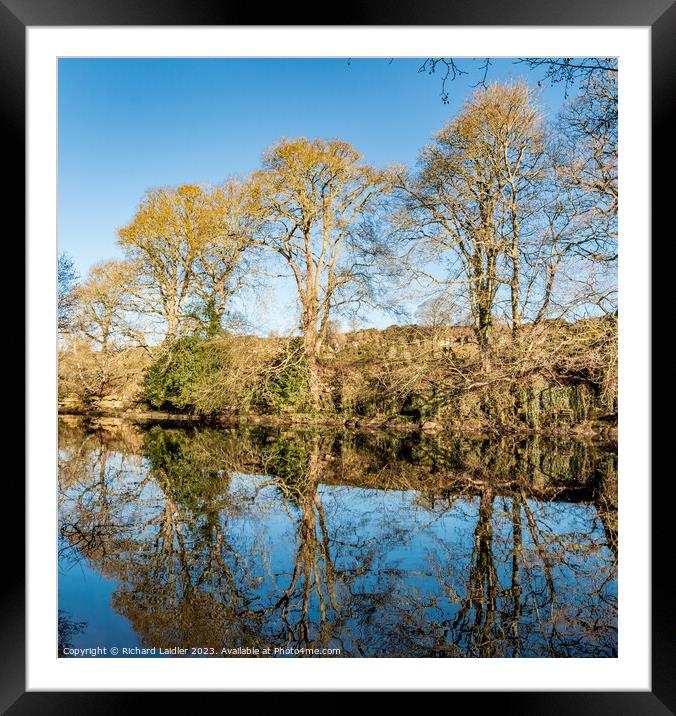 River Tees Winter Reflections Framed Mounted Print by Richard Laidler