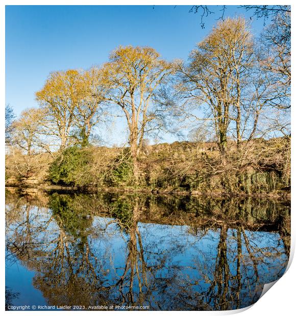 River Tees Winter Reflections Print by Richard Laidler