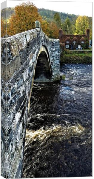 Tu Hwnt i’r Bont and bridge and cafe Canvas Print by Mark Chesters