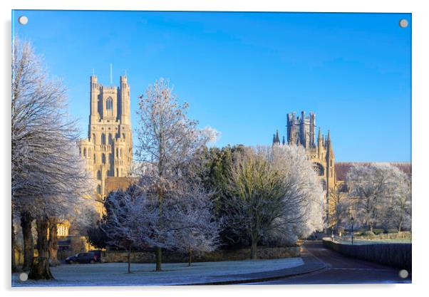 Frosty, misty morning in Ely, Cambridgeshire, 22nd January 2023 Acrylic by Andrew Sharpe