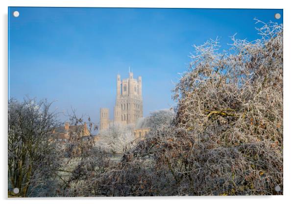 Frosty, misty morning in Ely, Cambridgeshire, 22nd January 2023 Acrylic by Andrew Sharpe