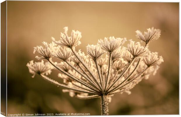 Frosted grass Canvas Print by Simon Johnson