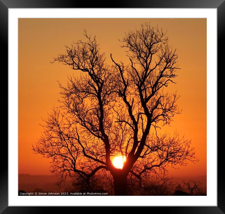 Sun resting on tree Framed Mounted Print by Simon Johnson