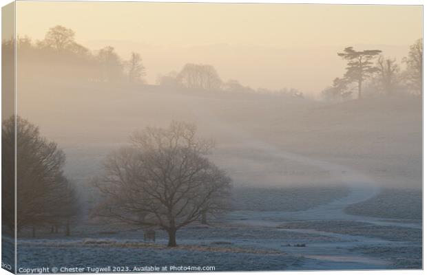 Petworth Park - Winter Morning  Canvas Print by Chester Tugwell