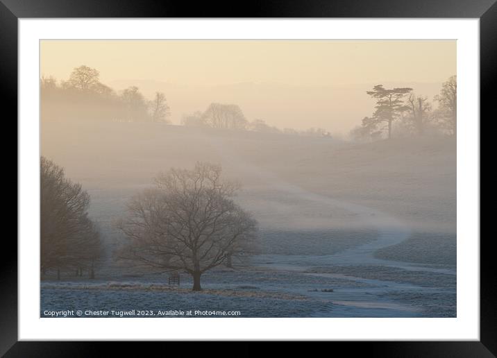 Petworth Park - Winter Morning  Framed Mounted Print by Chester Tugwell