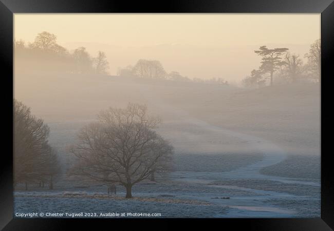 Petworth Park - Winter Morning  Framed Print by Chester Tugwell