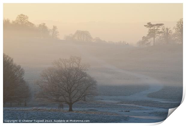 Petworth Park - Winter Morning  Print by Chester Tugwell
