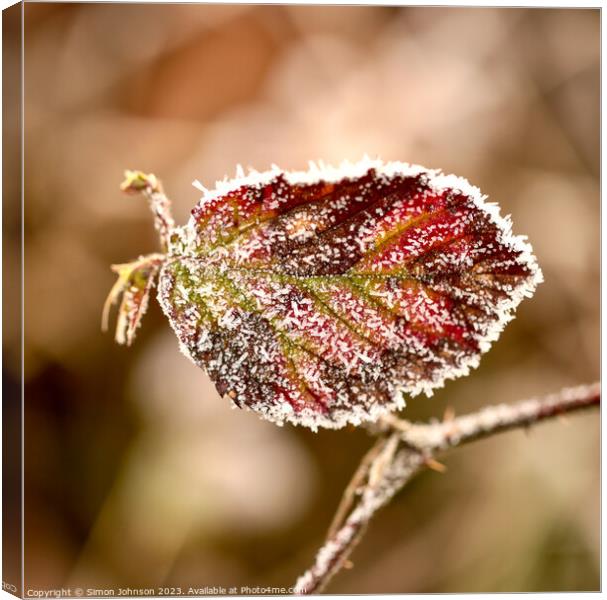 Frosted leaf close up  Canvas Print by Simon Johnson