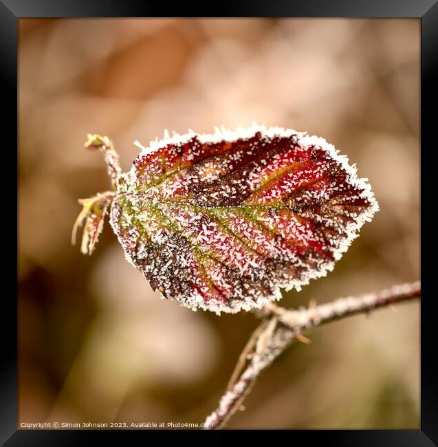 Frosted leaf close up  Framed Print by Simon Johnson