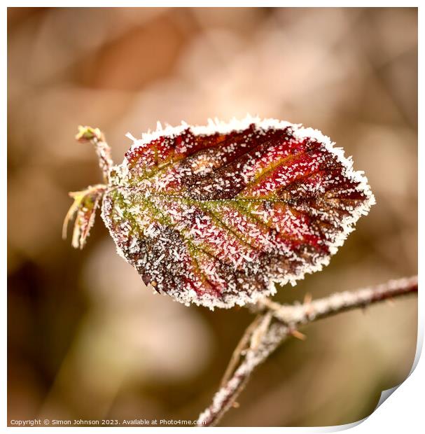 Frosted leaf close up  Print by Simon Johnson