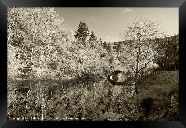 Elan Valley Sepia Framed Print by Ian Collins