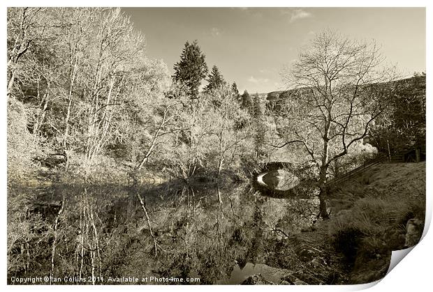 Elan Valley Sepia Print by Ian Collins