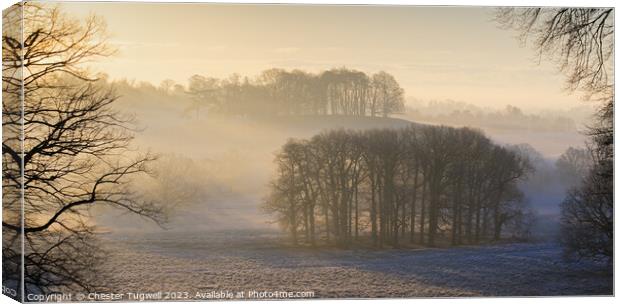 Petworth Park - Winter's Morning Canvas Print by Chester Tugwell