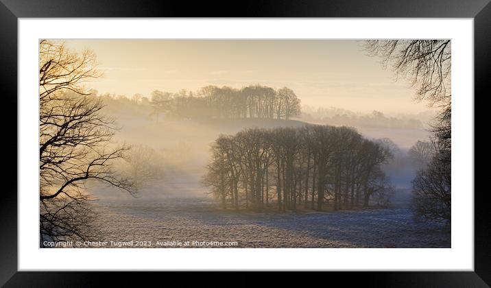 Petworth Park - Winter's Morning Framed Mounted Print by Chester Tugwell