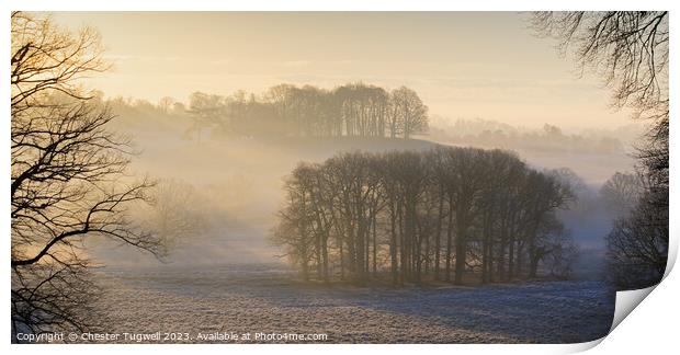 Petworth Park - Winter's Morning Print by Chester Tugwell