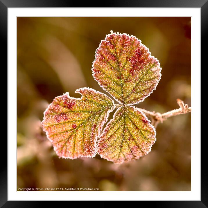 frosted leaf Framed Mounted Print by Simon Johnson