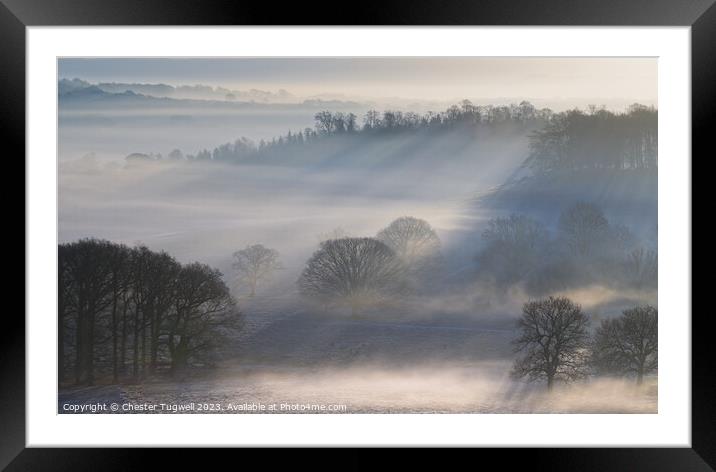 Petworth Park - Winter's Morning  Framed Mounted Print by Chester Tugwell