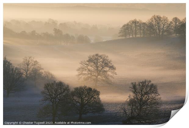 Petworth Park - Winter's Morning  Print by Chester Tugwell