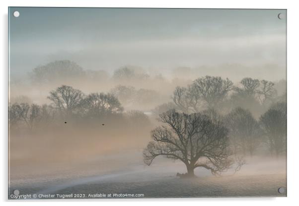 Petworth Park - Winter's Morning  Acrylic by Chester Tugwell