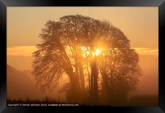 Tree silhouette against sunrise sky Framed Print by Simon Johnson