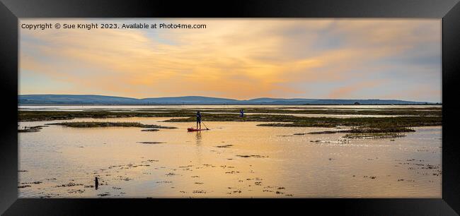 Paddle boarders at Lepe Framed Print by Sue Knight
