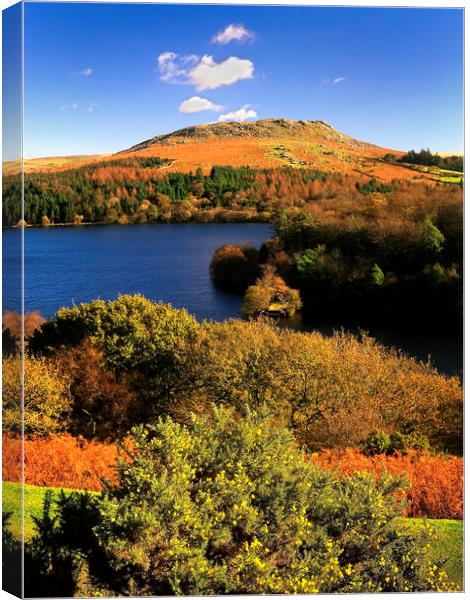 Burrator Reservoir and Sheeps Tor    Canvas Print by Darren Galpin