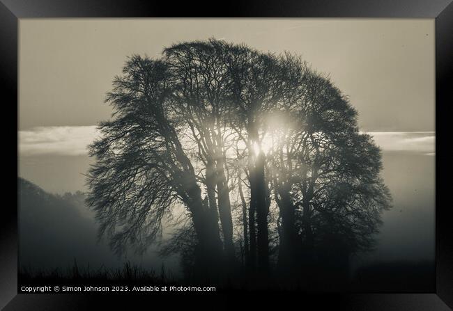 tree silhouette and sunrise monochrome  Framed Print by Simon Johnson