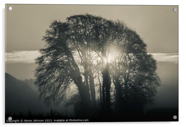 tree silhouette and sunrise monochrome  Acrylic by Simon Johnson
