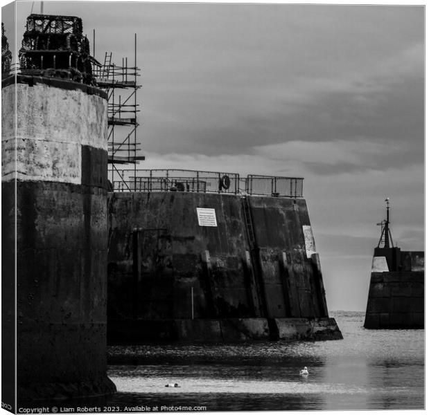 Harbour Walls  Canvas Print by Liam Roberts