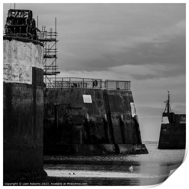 Harbour Walls  Print by Liam Roberts