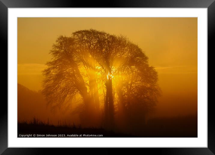 Tree  silhouette  Framed Mounted Print by Simon Johnson