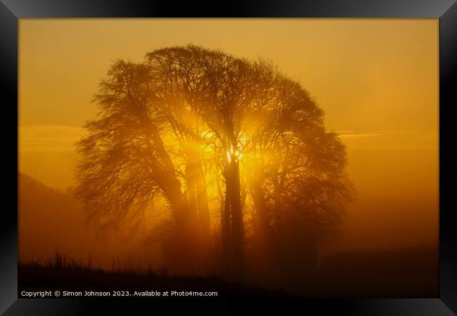 Tree  silhouette  Framed Print by Simon Johnson