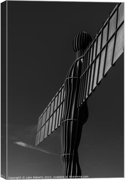 Angel of the North Canvas Print by Liam Roberts