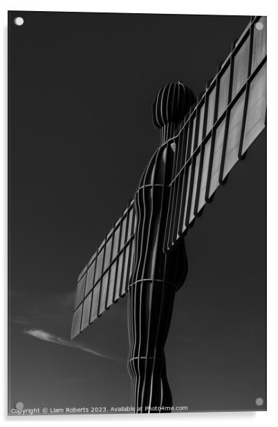 Angel of the North Acrylic by Liam Roberts