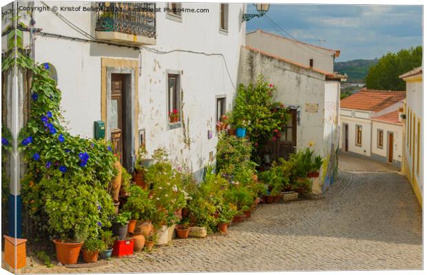 Colorful historical cobblestoned street in Aljezur, Portugal Canvas Print by Kristof Bellens